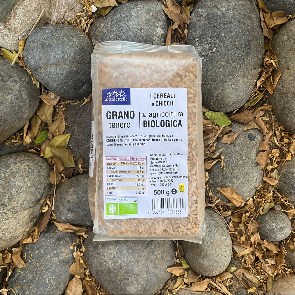 Hạt lúa mì hữu cơ Sotto 500g