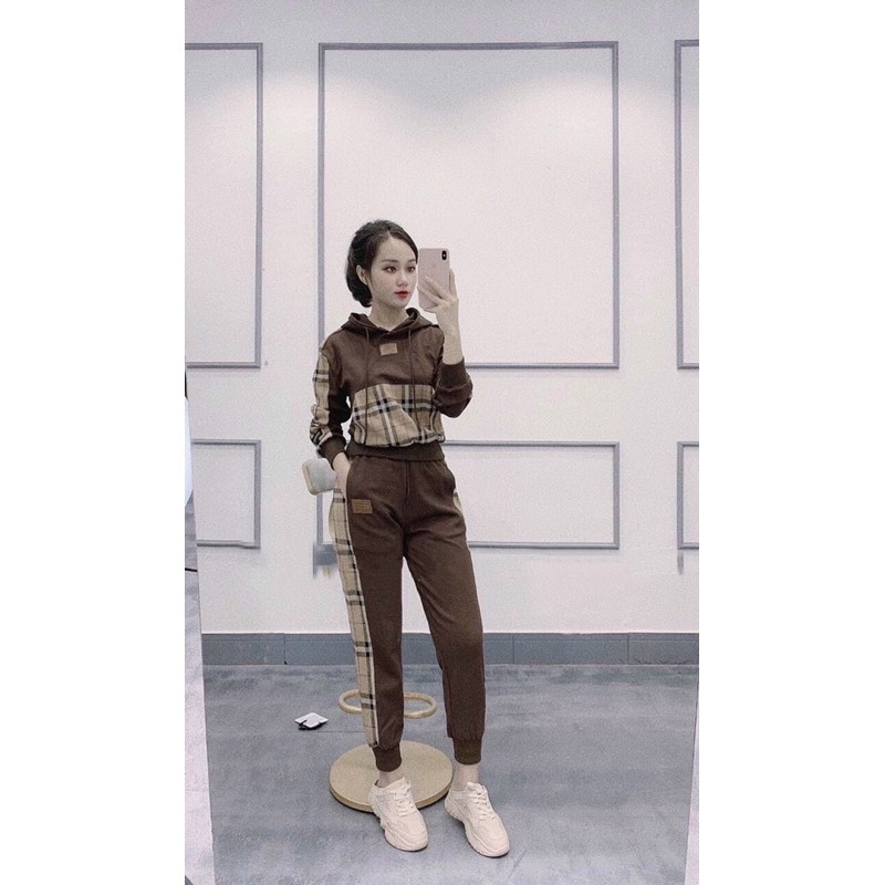 BÁN SỈ BỘ NỈ BÔNG HOODIE PHỐI KẺ BBR 3 MÀU CHO NỮ BN33 | BigBuy360 - bigbuy360.vn