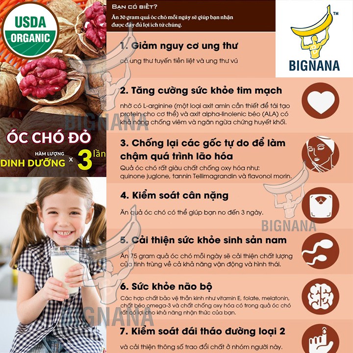 Hạt Óc Chó Đỏ Mỹ Còn Vỏ Gói 500gr, Quả Tốt Cho Trí Não, Mẹ Và Bé, Nam Giới | BigBuy360 - bigbuy360.vn