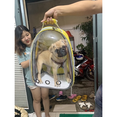 Balo Phi Hành Gia Vận Chuyển Chó Mèo, Balo Trong Cho Pet Cao Cấp - Hery Pet