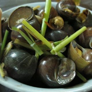 CƠM MẺ NHÀ LÀM( CHAI 500gr)