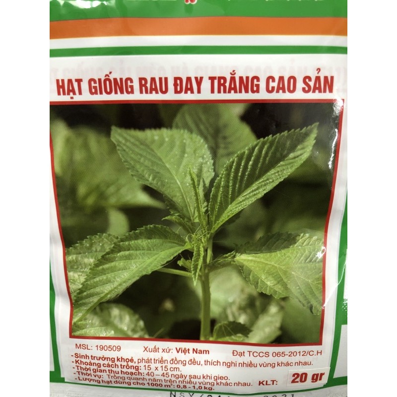 Hạt giống rau đay trắng ☘️ Gói 20 gr