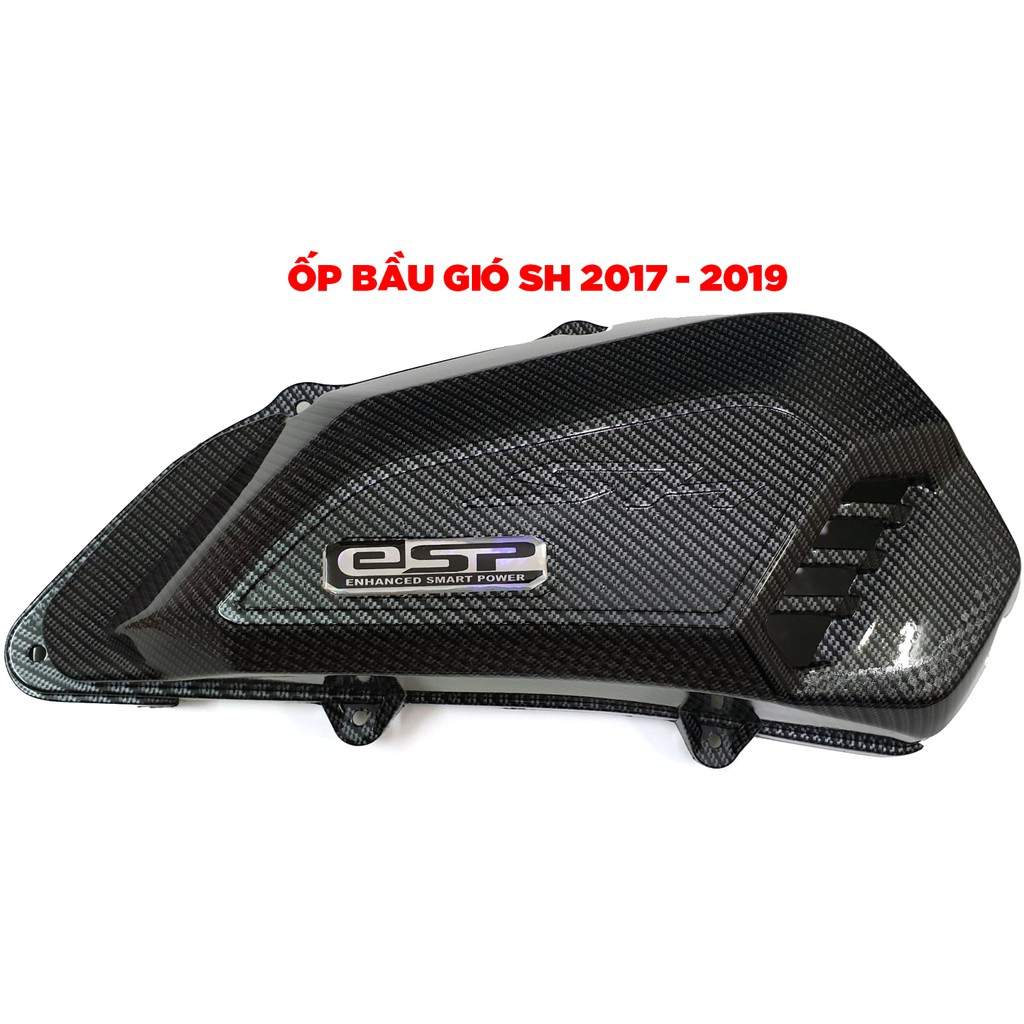 Combo Bộ sơn Carbon 4 món cho Sh việt 2017 tới 2019