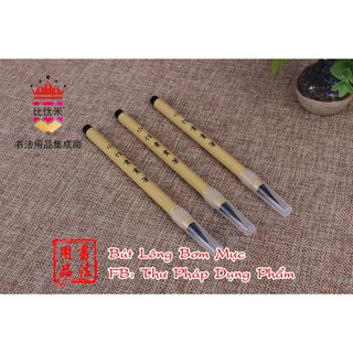 Bút Lông Bơm Mực