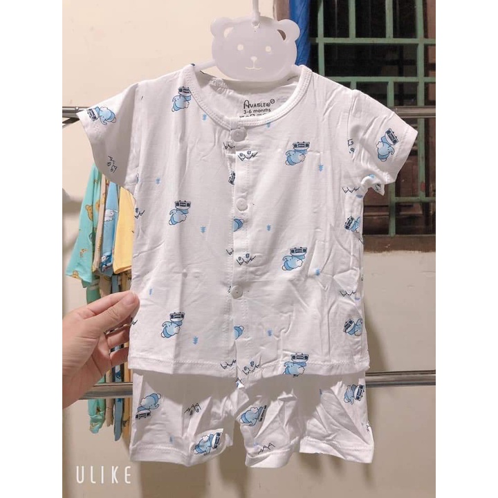 Bộ Ava cộc tay cúc giữa thun mềm cotton pettit xinh xắn cho bé trai và bé gái