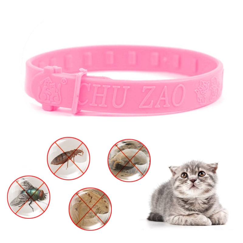 Vòng đeo cổ chống muỗi chấy rận cho mèo cưng hiệu quả tiện dụng