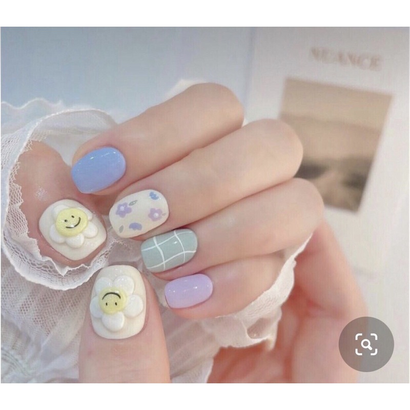 Nail box giá sinh viên