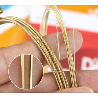 [Chính hãng] Dây đàn guitar Acoustic D'addario EJ13