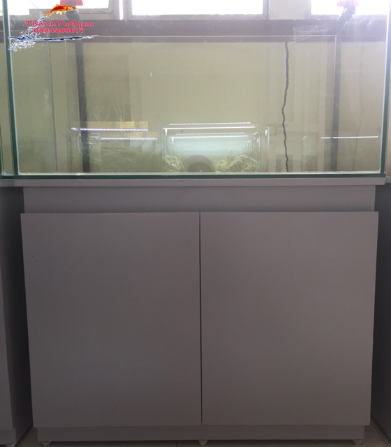 Bể cá thủy sinh Demo Thế Đào Tết