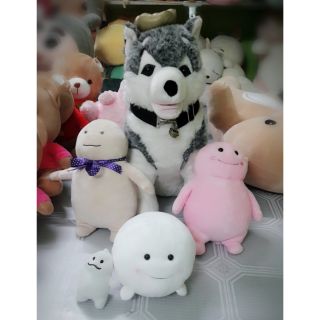 Sét mỡ va chó Alaska đại