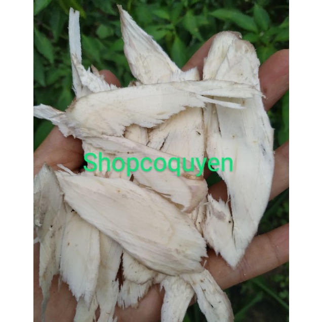 Cậc bần 1 ký tươi