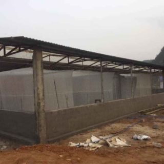 Lồng nuôi cào cào 3x2x2