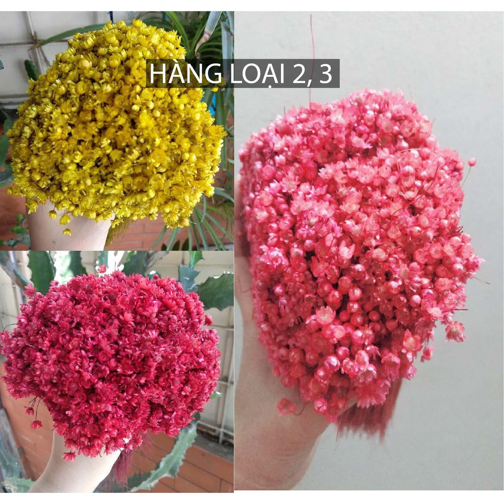 Lọ hoa để bàn ❤️FREESHIP❤️ hoa khô glixia vintage trang trí phòng, tiệc cưới, quà tặng sinh nhật