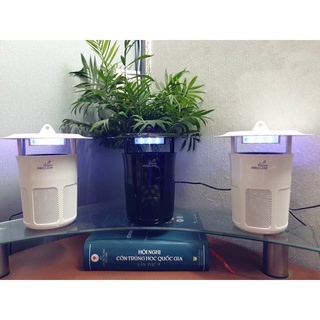 Đèn bắt muỗi UV LED MOSCLEAN VIOLEDS Hàn quốc