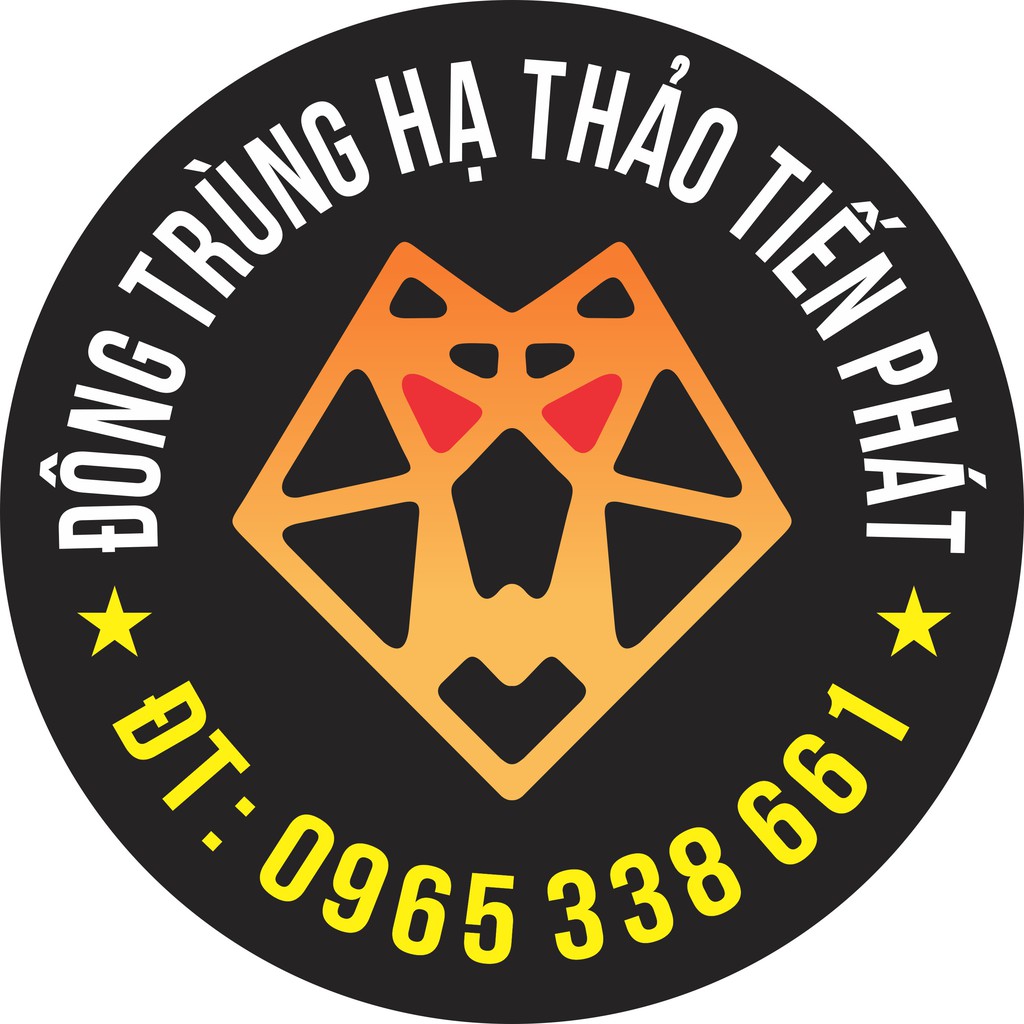 dongtrunghathaotienphat68