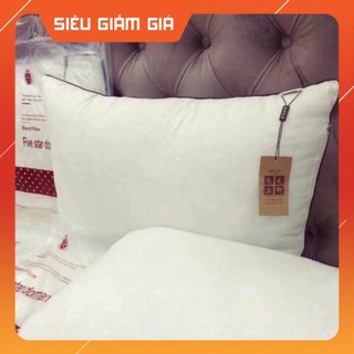 (2 chiếc) Đôi Ruột Gối Muji Nhập Khẩu (Hàng đẹp)