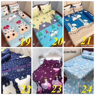 Bộ ga gối cotton poly