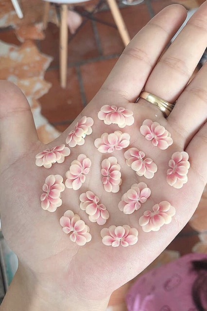 Cúc ombre ( 1b) - Phụ kiện Nail
