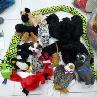 Gấu bông jo nguyên