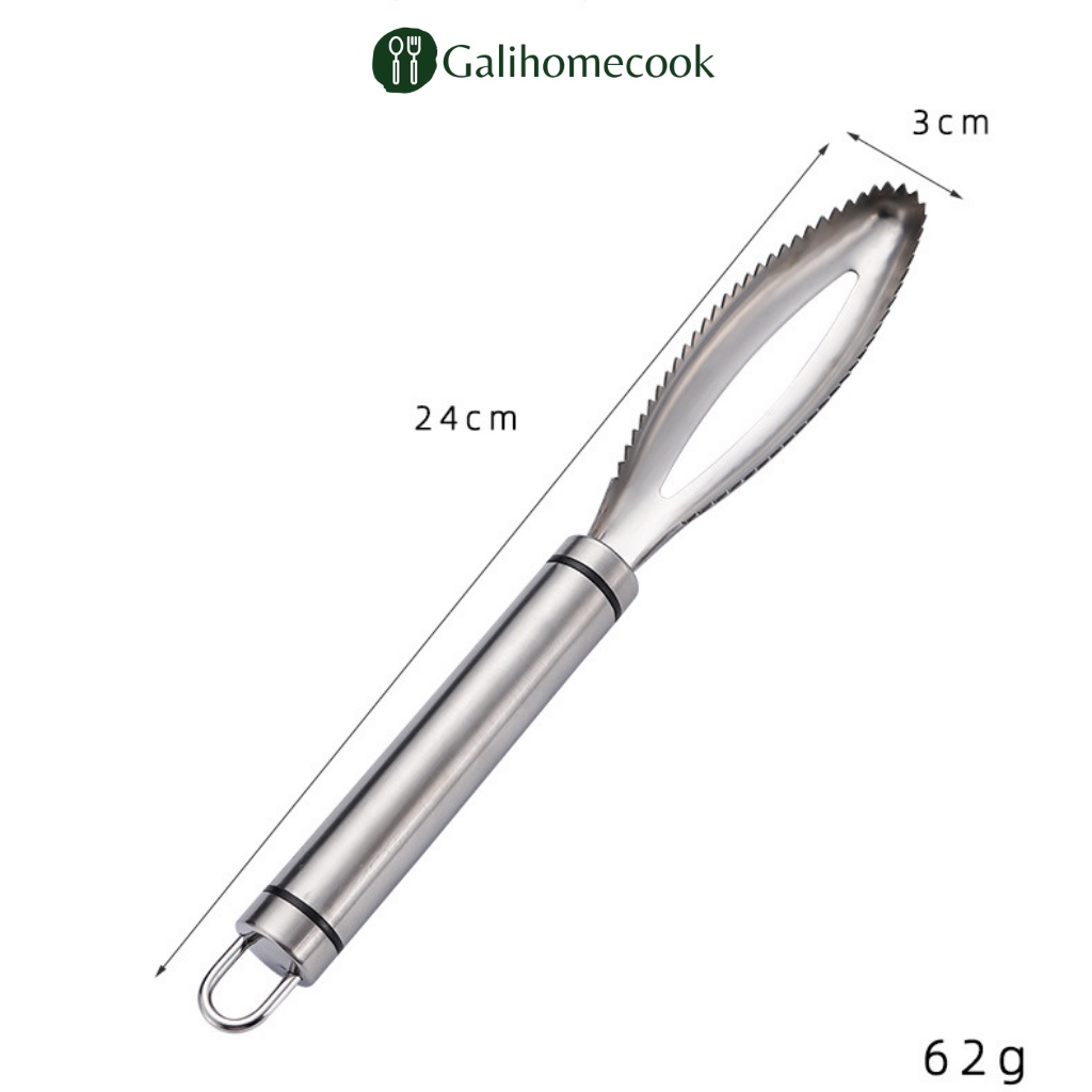 Dụng cụ đánh vẩy cá bằng inox 304 Sạch Sẽ Tiện Dụng Cho Nhà Bếp | Galihomecook DVC