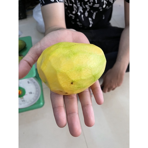 Xoài Xiêm ( Xoài miên )