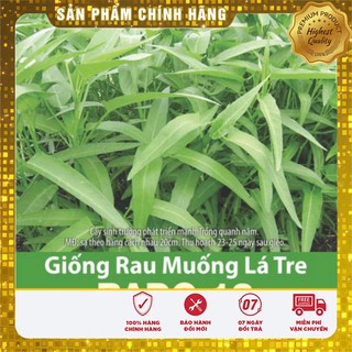 Hạt Giống Rau Muống Lá Tre(50gr)