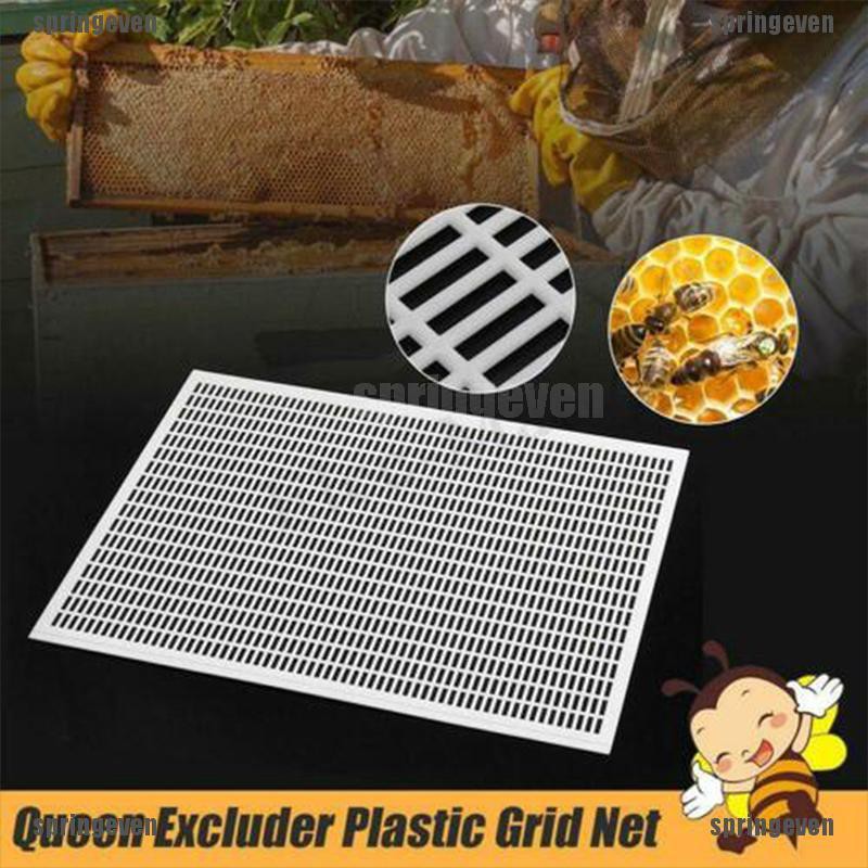 Bộ 10 Khung Lưới Bắt Ong Chúa Chuyên Dụng
