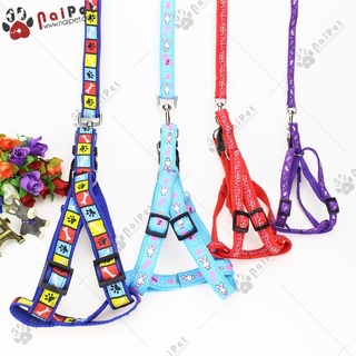 Dây Dắt Kèm Yếm Ngực Nhiều Màu Sắc DDYN010 Cho Thú Cưng