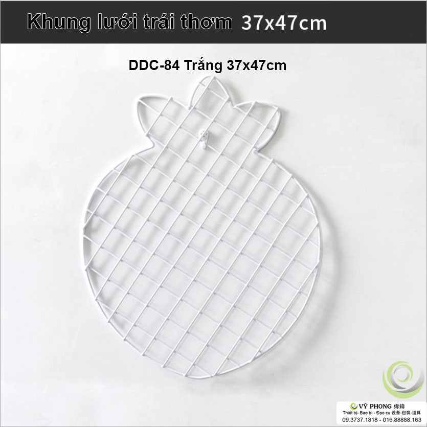 KHUNG LƯỚI SẮT TRÁI THƠM DECOR TRANG TRÍ CHỤP ẢNH SẢN PHẨM  DDC-83,84,85