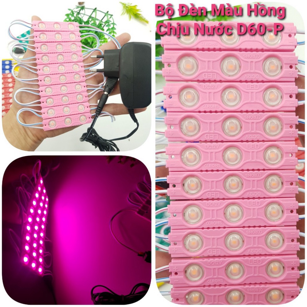 Bộ Đèn Led Chịu Nước 12V Thủy Sinh ❤️Đèn Led Bể Cá❤️Đèn Báo Sự Cố ❤️Led Trang Trí Nhà Cửa Siêu Bền