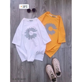 Aó thun phản quang hoa cúc khuyết -HĐ