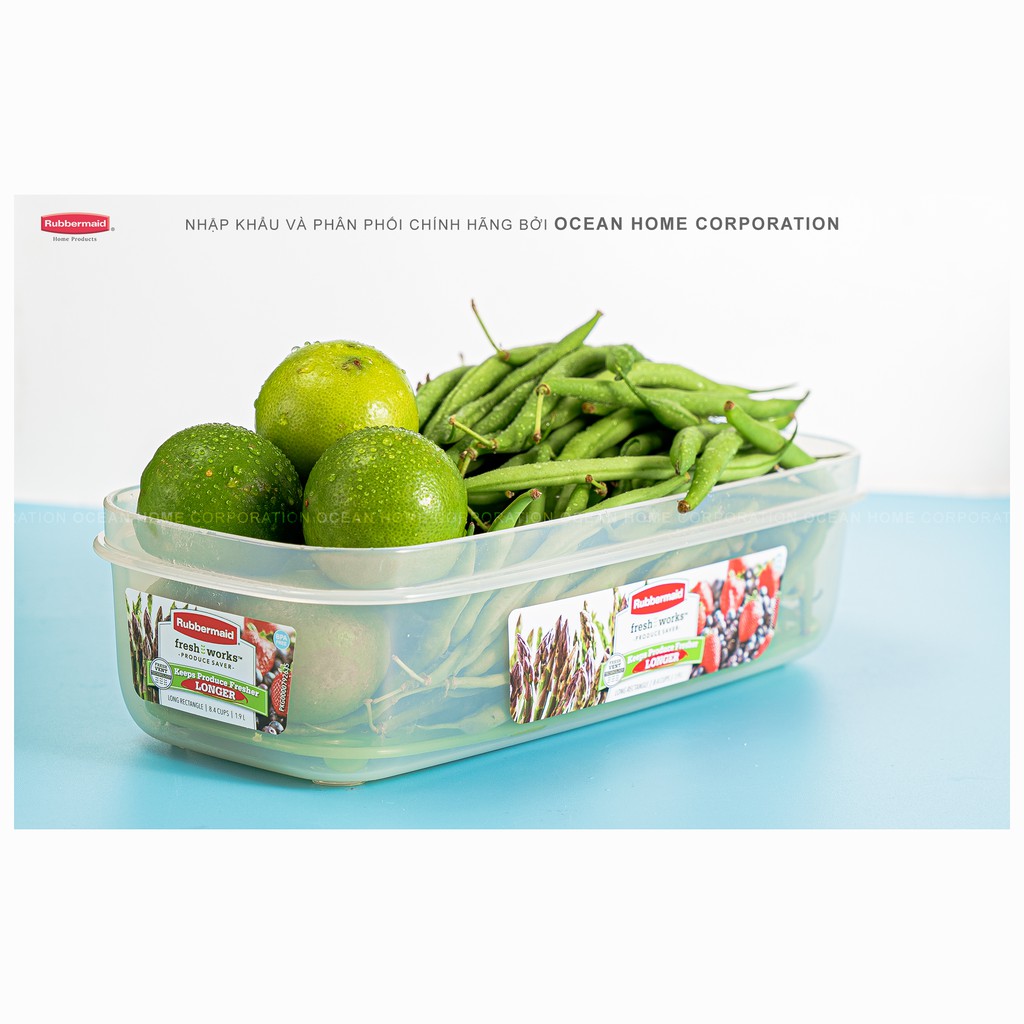 Set 4 Hộp bảo quản rau củ quả RUBBERMAID có nắp màu xanh bằng nhựa nguyên sinh cao cấp  - Chính Hãng từ Mỹ