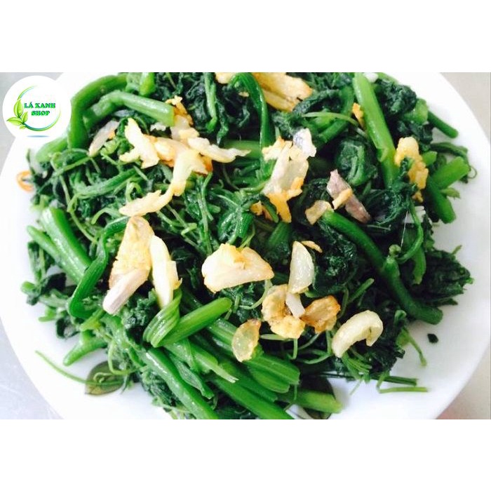 Hạt Giống Bí Siêu Ngọn (Bí Lấy Ngọn) Cao Sản Giòn Ngọt, Dễ Trồng (gói 20 gr) - Hạt giống Rạng Đông