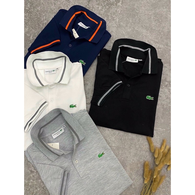 Áo phông nam PO-LO cá sấu 4 màu | BigBuy360 - bigbuy360.vn