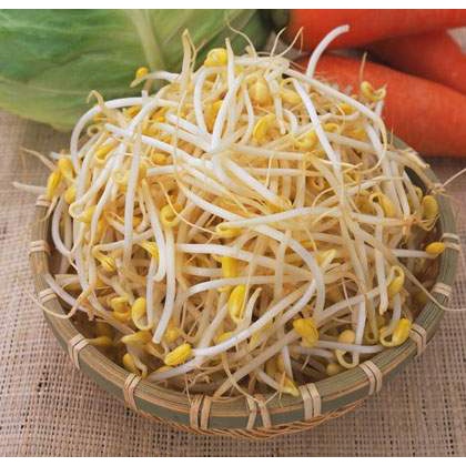 Hạt giống rau mầm giá đậu xanh (làm giá đỗ ) - rau củ quả trồng chậu, vườn dễ chăm sóc, tỉ lệ nảy mầm cao 50gr RADO 07