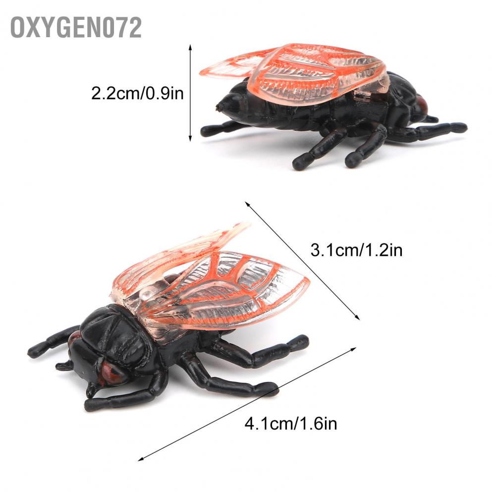 Oxygen072 Cicada Insect Model Highly Simulation Children Kids Ornament Decoration