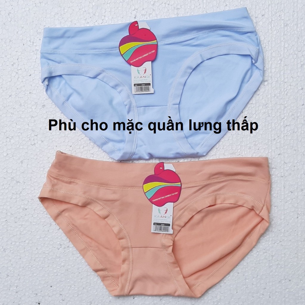 Bộ 10 quần lót nữ Vòng Eo tối đa 90cm Bo lưng trước 3cm che đi khuyết 100% Cotton # 66874 ( Giá Rẻ)