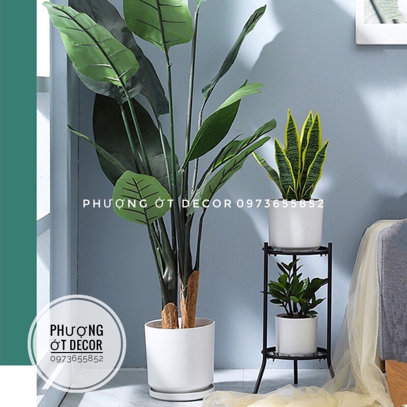 Cành lưỡi hổ giả cao cấp hàng nhập khẩu giống thật 99,9% - Shop có 3 kích thước 56cm, 66cm, 78cm