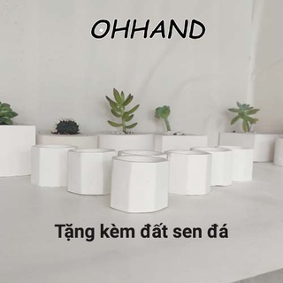 Chậu trồng cây mini sen đá, cây cảnh