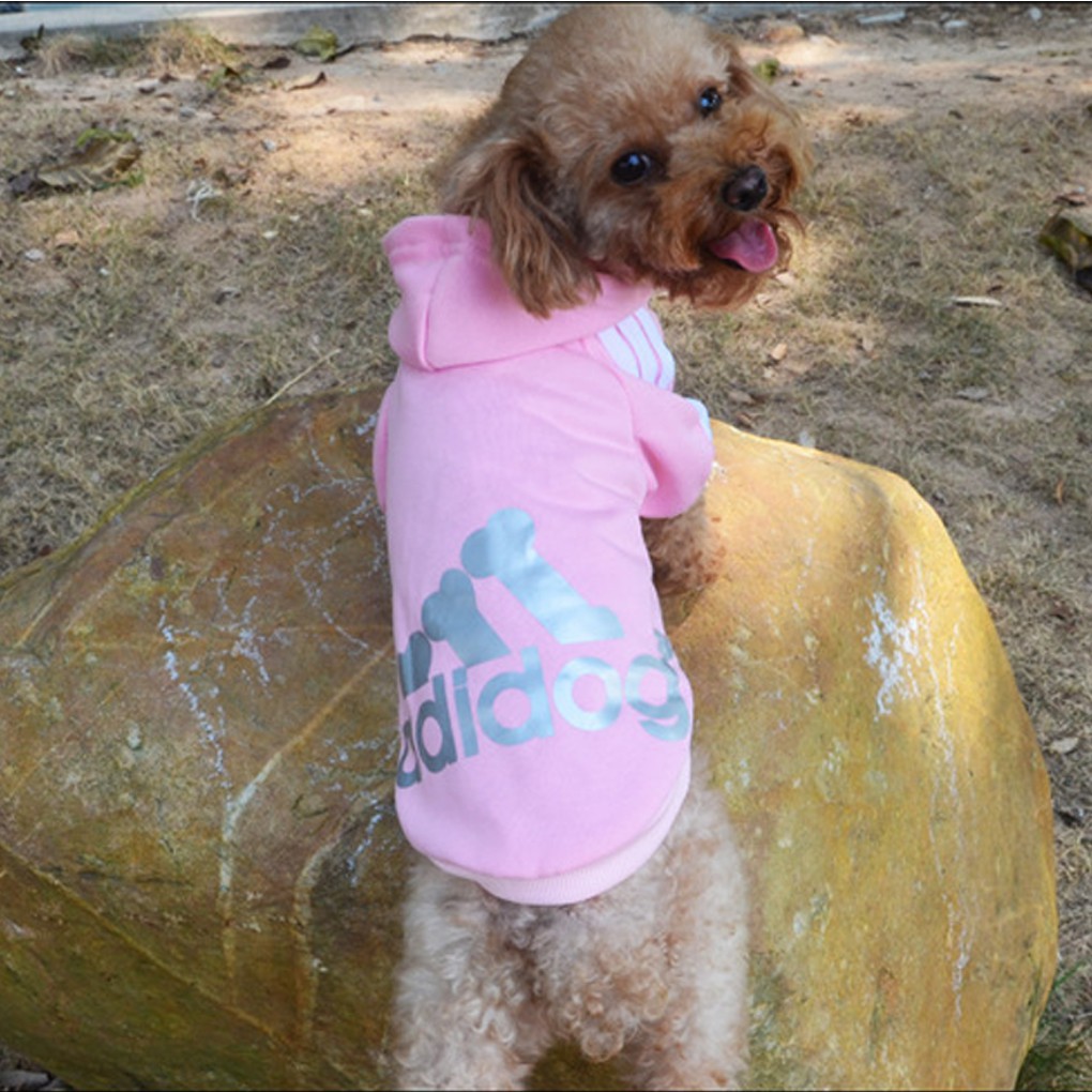 Áo Hoodie thể thao cho thú cưng