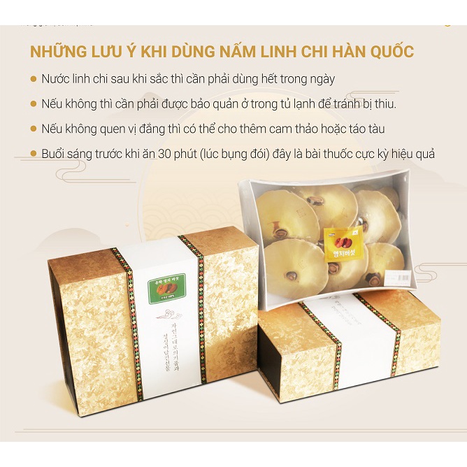 Nấm Linh Chi Đỏ 6 HÀN QUỐC HỘP KIM TUYẾN [ Nấm Linh Chi _ Quà Tặng Cao Cấp ]