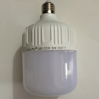 Bóng đèn LED trụ 20/30/40/65W