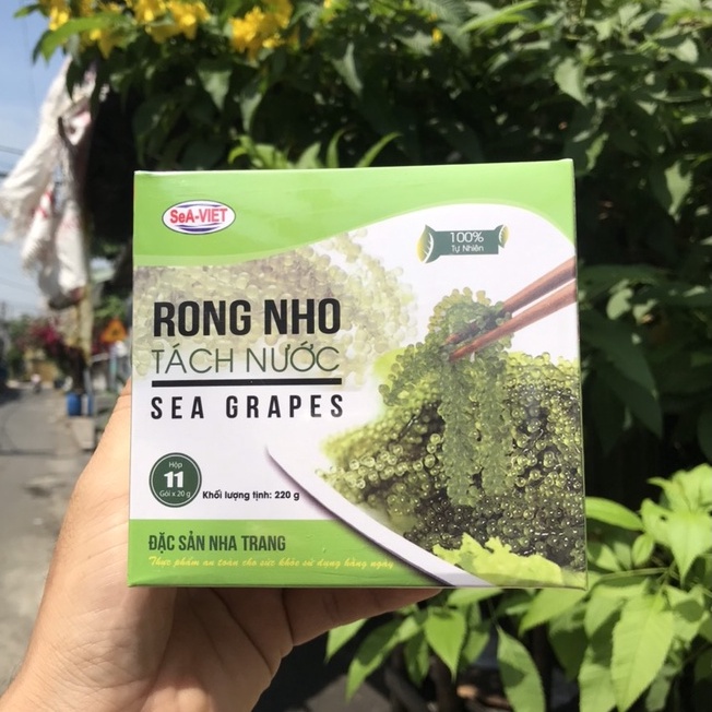 [Hộp 220g] Rong nho biển Sea Việt + Kèm theo 2 gói xốt mè rang 15ml