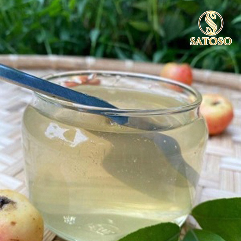 Mật ong trắng hoa Blong Song nguyên chất tốt cho sức khỏe SATOSO SA126