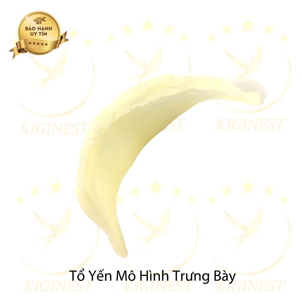 YẾN NHỰA TRƯNG BÀY TỦ KÍNH - SANG TRỌNG