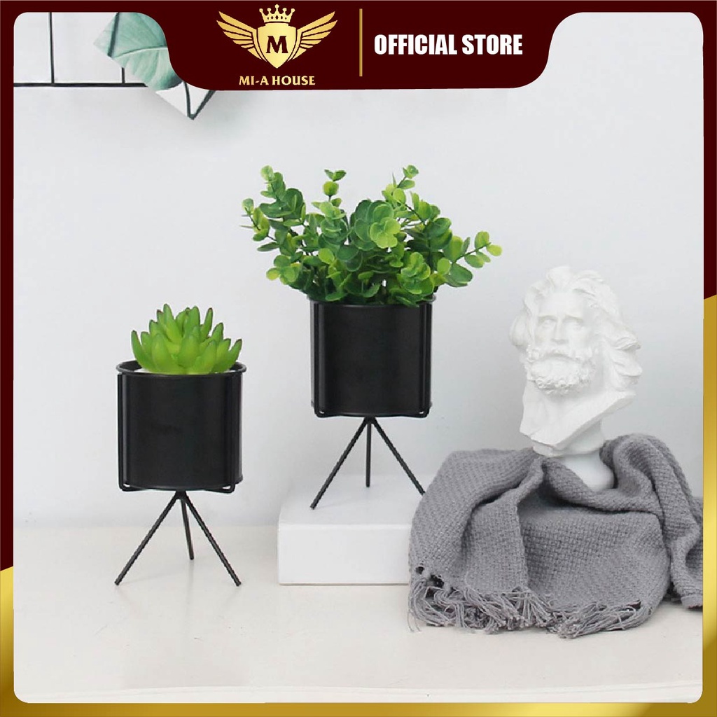 Chậu trồng cây sen đá, xương rồng, cẩm nhung – Hộp trồng cây mini để bàn