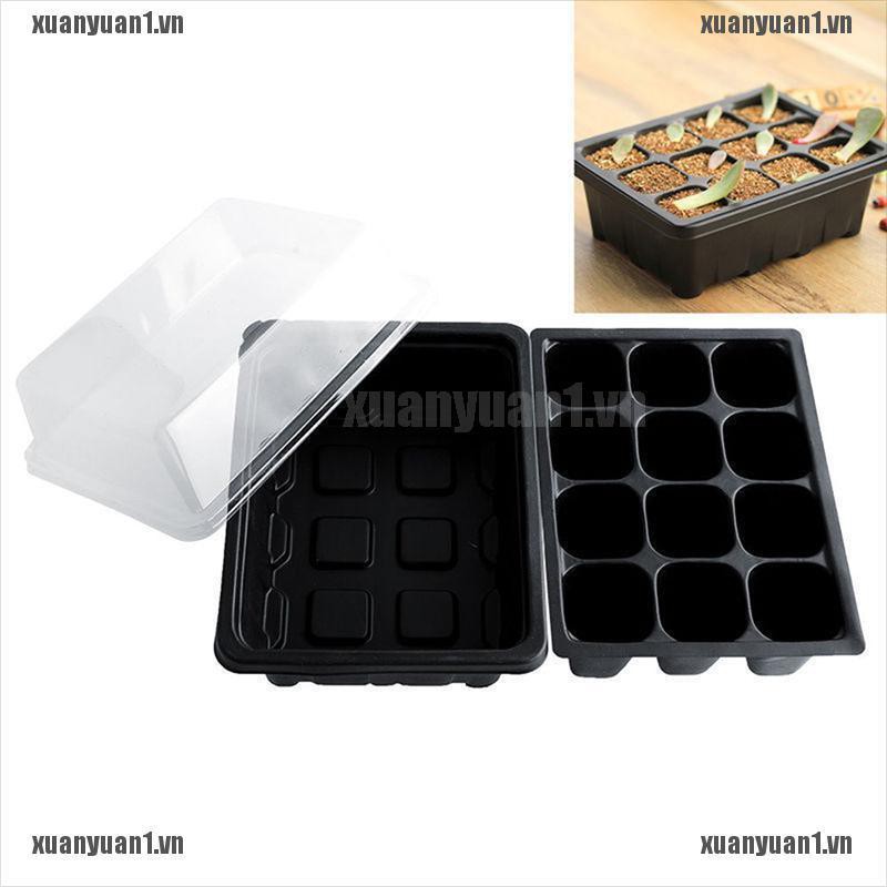 Set 3 Khay Gieo Hạt Trồng Cây 12 Ngăn Tiện Dụng