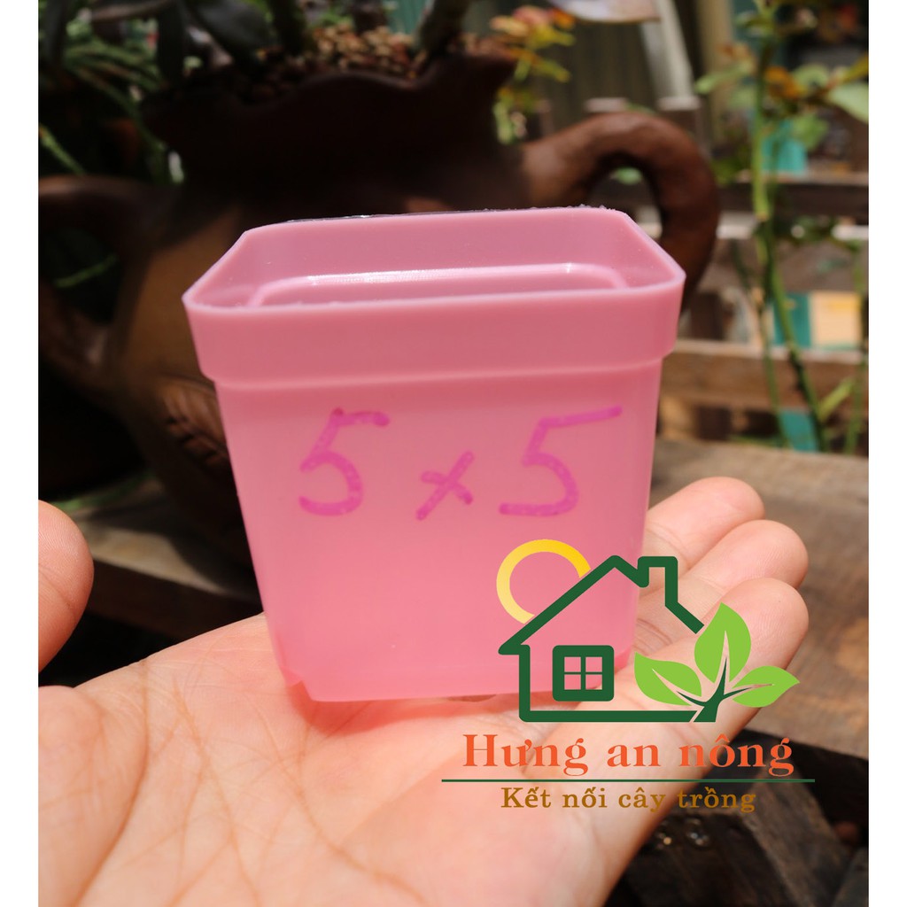 CVPPM5CM - 10 chậu vuông nhựa PP trồng sen đá bonsai xương rồng có 7 màu chọn - size 5x5cm