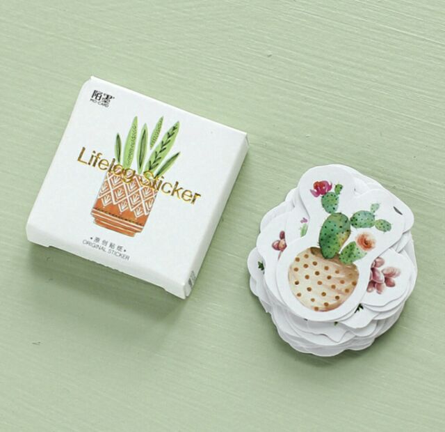 Bộ 45 sticker Sen đá, xương rồng Cactus