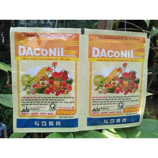 DACONIL 75WP – THUỐC ĐẶC TRỊ BỆNH THÁN THƯ, ĐỐM LÁ, ĐỔ NGÃ CÂY CON
